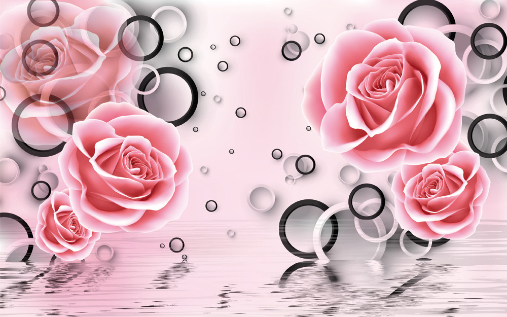 цветы, розы, розовые, вода, отражение, круги, геометрия, черные, белые, синие
