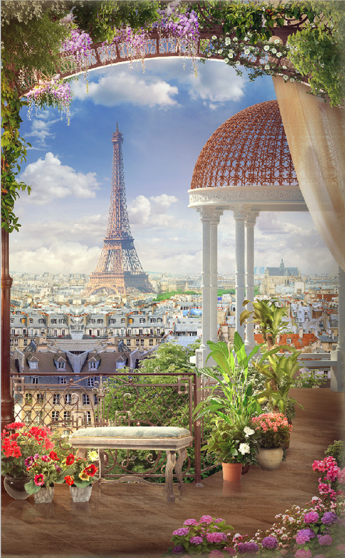 париж, франция, город, эйфелева башня, вид на город, небо, облака, цветы, растения, балкон, мак, красные, розовые, зеленые, на дверь, узкие, вертикальные