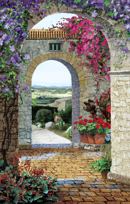 арка, вид из арки, город, постройки, каменные стены, цветы, фиолетовые, красные, зеленые, розовые, поле, лес, небо, на дверь, узкие, вертикальные