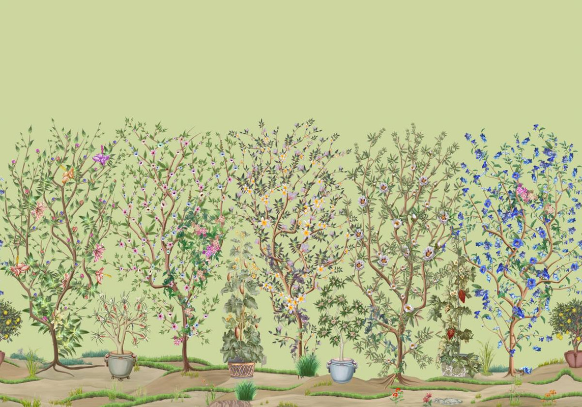 сад, деревья, растения в горшках, кусты, зеленые, лилия, нарцисс, морозник, анемон 
