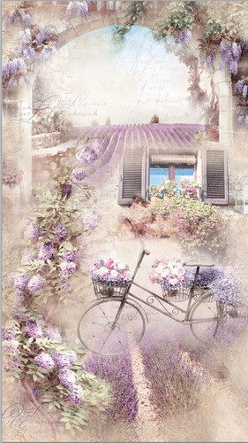лаванда, цветы, велосипед, арка, буддлея, окно, сиреневые, бежевые, в стиле прованс, на дверь, узкие, вертикальные