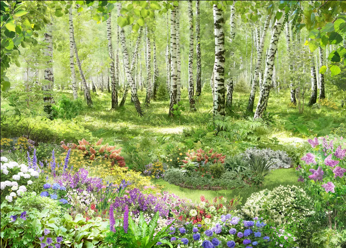 природа, растения, цветы