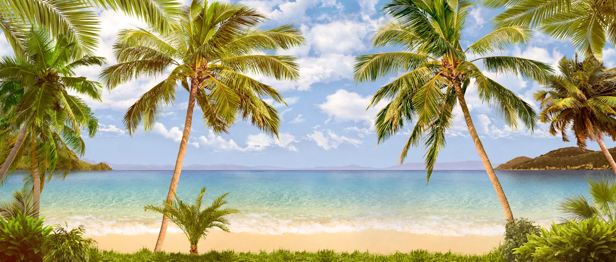 пальмы, пляж, берег