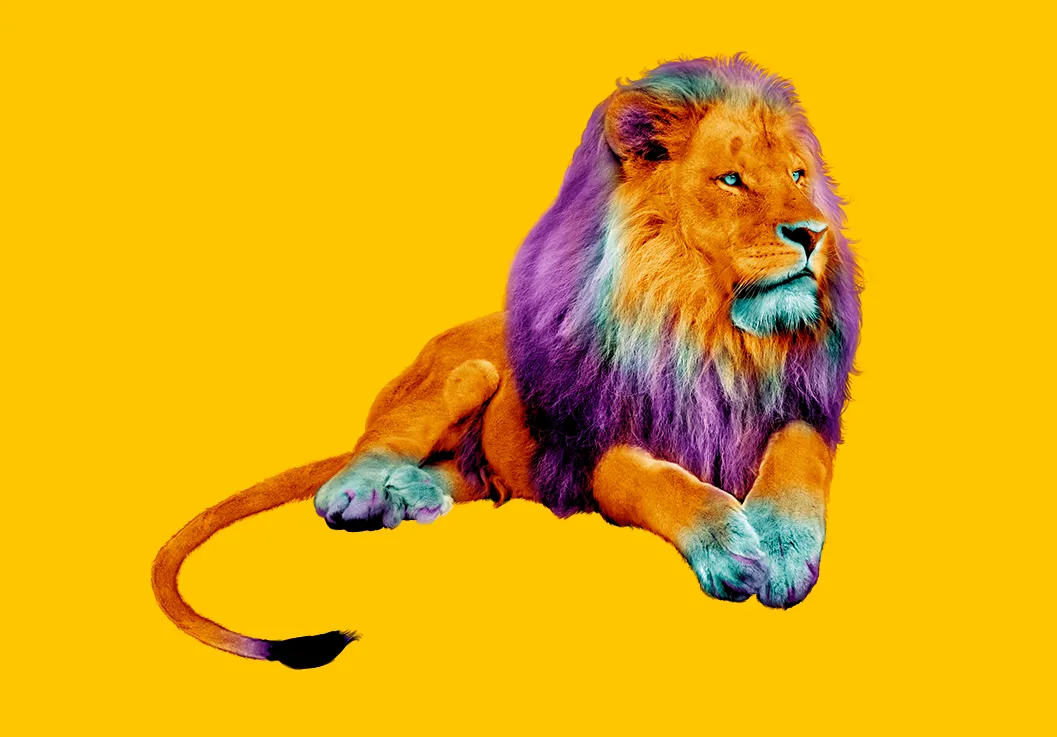 животное, лев, желтые