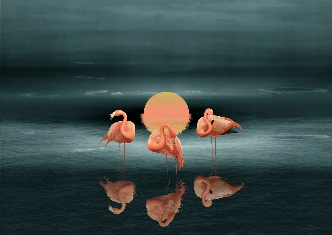 розовый фламинго, ночь, солнце