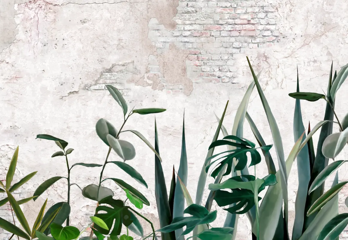растения, листья, стена