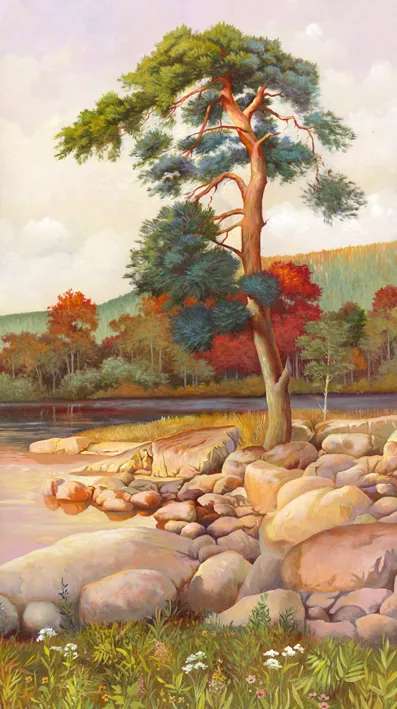 каменный берег, дерево, деревья