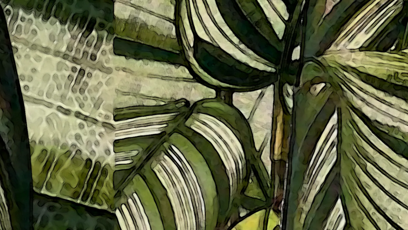 аглаонема, листья, зеленые