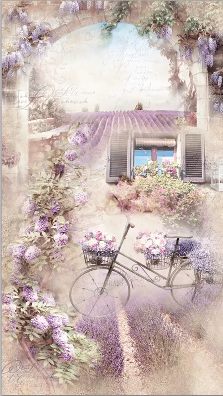 лаванда, цветы, велосипед