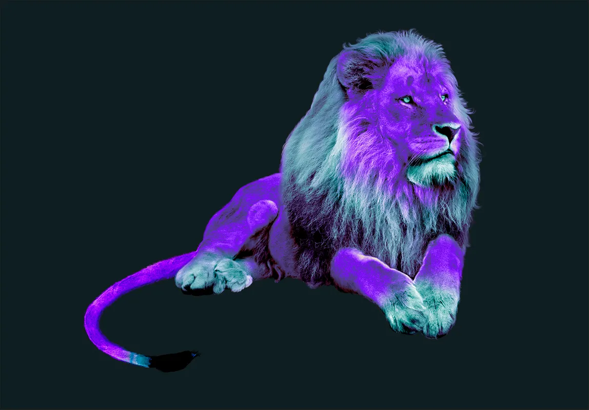животное, лев, фиолетовые
