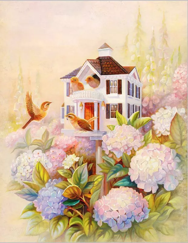 цветы, фиалки, дом