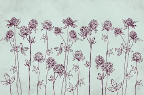 клевер, растения, минимализм, линии, цветы