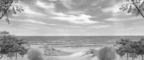 море, берег, песок, океан, вода, волны, трава, деревья, небо, облака, горизонт, кусты, пляж, чб, черно-белые