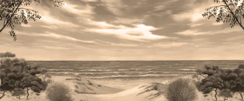 море, берег, песок, океан, вода, волны, трава, деревья, небо, облака, горизонт, кусты, пляж, сепия