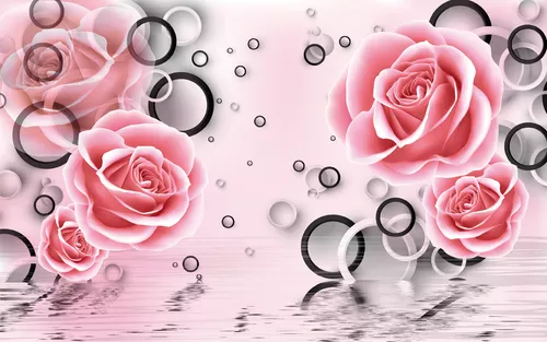 цветы, розы, розовые, вода, отражение, круги, геометрия, черные, белые, синие