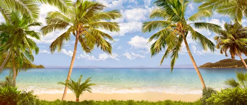 пальмы, пляж, берег, песок, вода, море, океан, волны, небо, облака, горы, холмы, зелень, растения, тропики