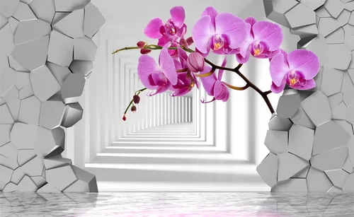 цветы, орхидея, розовые, ветви, бутоны, стена, сквозь стены, разлом, треск, куски, части, вода, коридор, геометрия, свет, тени, серые, белые
