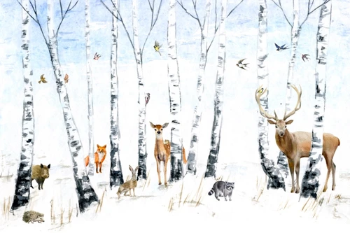 лес, зима, зимний, дерево, береза, снег, белый, животные, олень, ежик, лиса, енот, зайцы, птицы, ласточки, снегири  