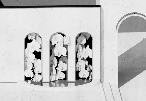 абстракция, геометрия, закругления, линии, свет, тени, окна, цветы, белые, серые, черные, в стиле лофт, в скандинавском стиле, Мария Воробьева 