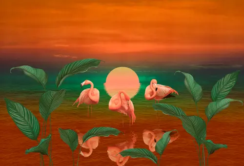 розовый фламинго, закат, рассвет, пруд, солнце, небо, растения, кусты, фламинго, листья