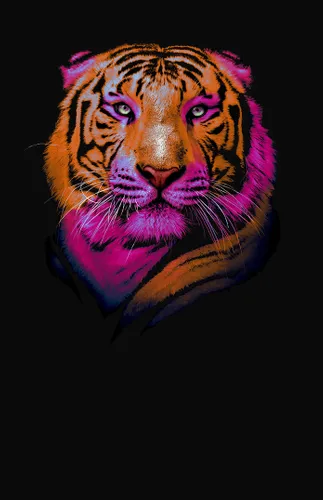 животное, тигр, голова, розовые, оранжевые, черные, на дверь, узкие, вертикальные