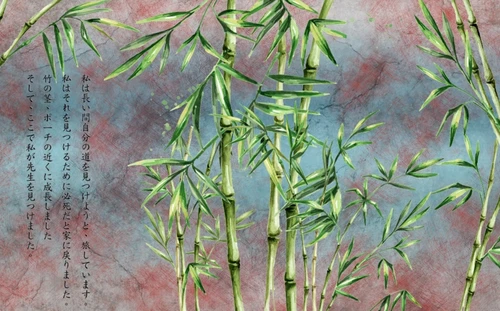 бамбук, растения, природа