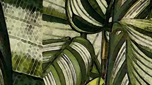 аглаонема, листья, зеленые, белые, пазл, мозаика, абстракция, размытие