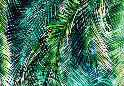 листья, тропические листья, пальма