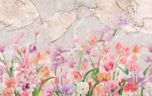 цветы, тюльпаны, нежность, лепестки, листья, стена, каменная стена, камень, трещины 