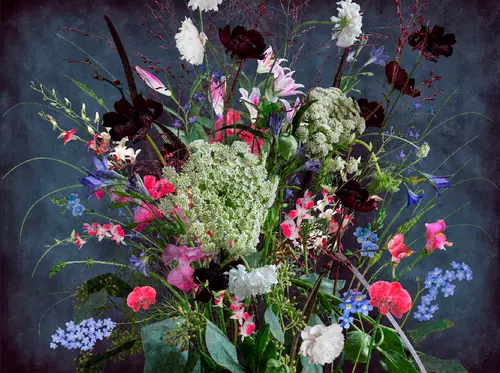 цветы, букет, лилии, васильки, орхидея, листья, эустома, аспарагус, спаржа, гипсофила махровая, колокольчик, голубой колокольчик