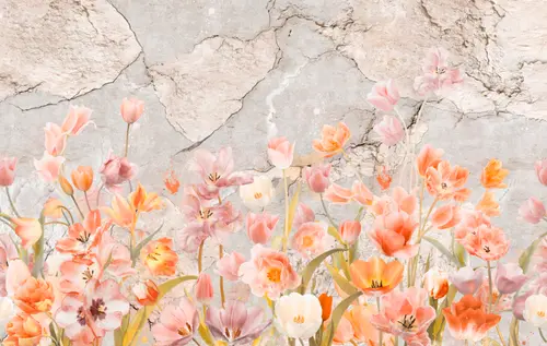 цветы, тюльпаны, нежность, лепестки, листья, стена, каменная стена, камень, трещины 