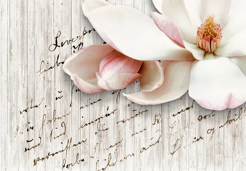 цветы, магнолия, белые, розовые, дерево, деревянный фон, фразы, надпись