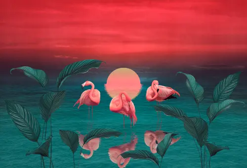 розовый фламинго, закат, рассвет, пруд, солнце, небо, растения, кусты, фламинго, листья