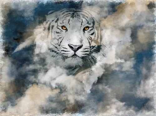 тигр, животные, туман